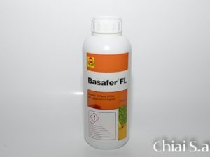 Basafer FL lt. 1